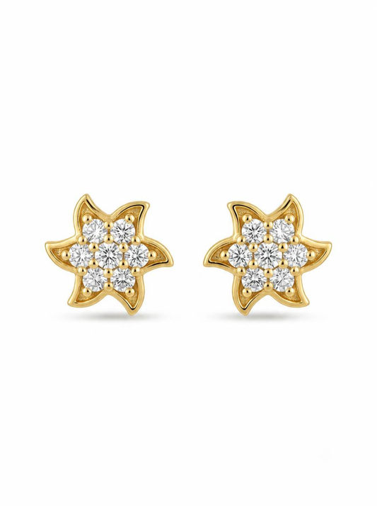 Round Cut Diamond Stud Women's Earrings | Floral Cluster Design